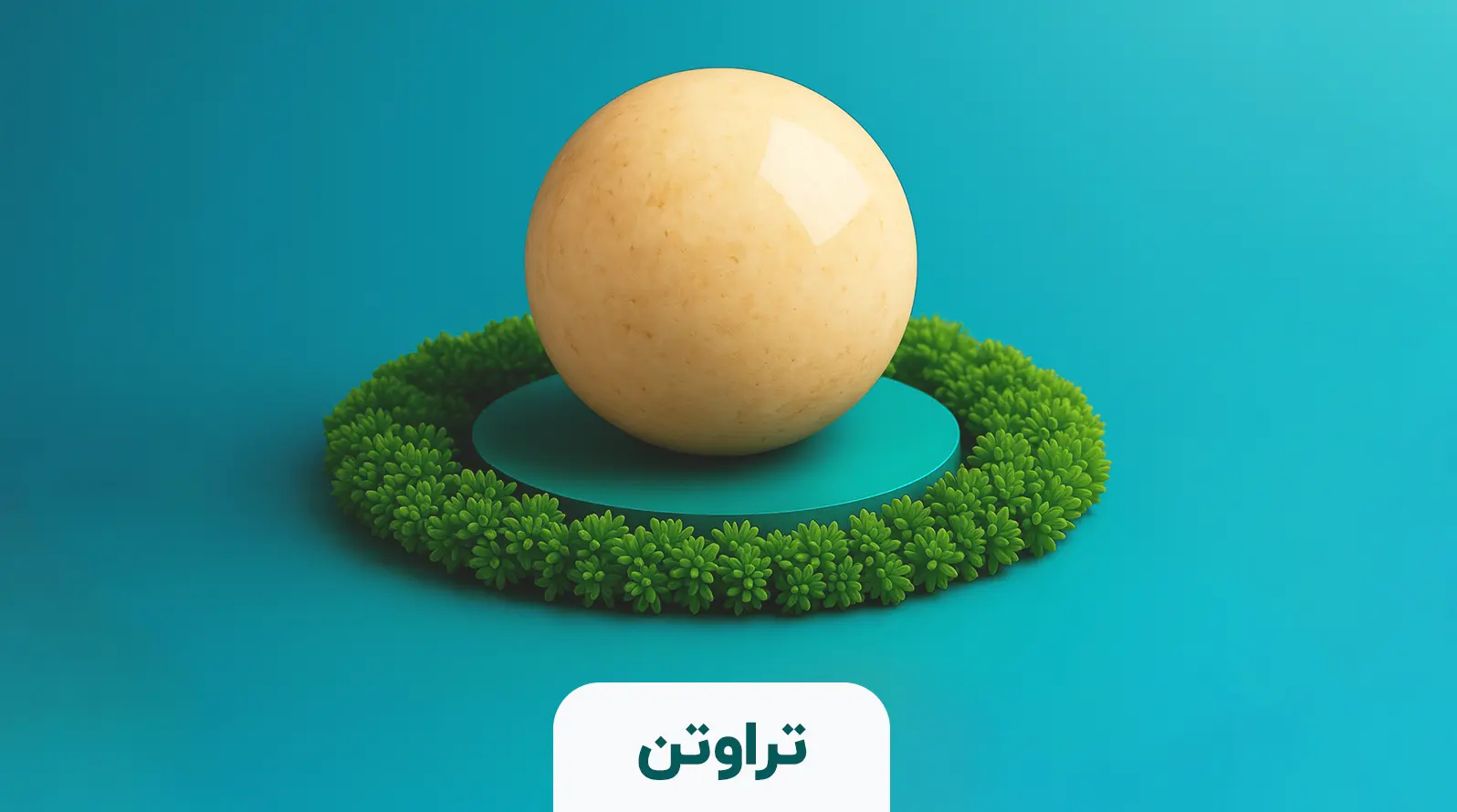 تصویر دوم