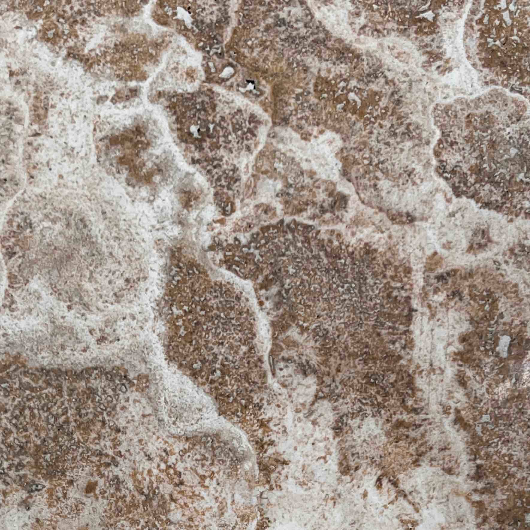 تراوارتن عباس آباد