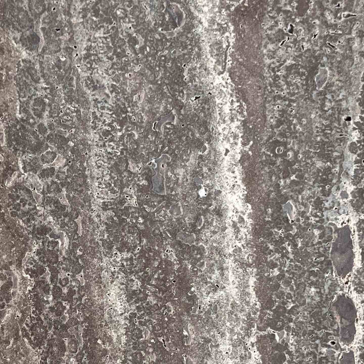 تراوارتن سیلور 