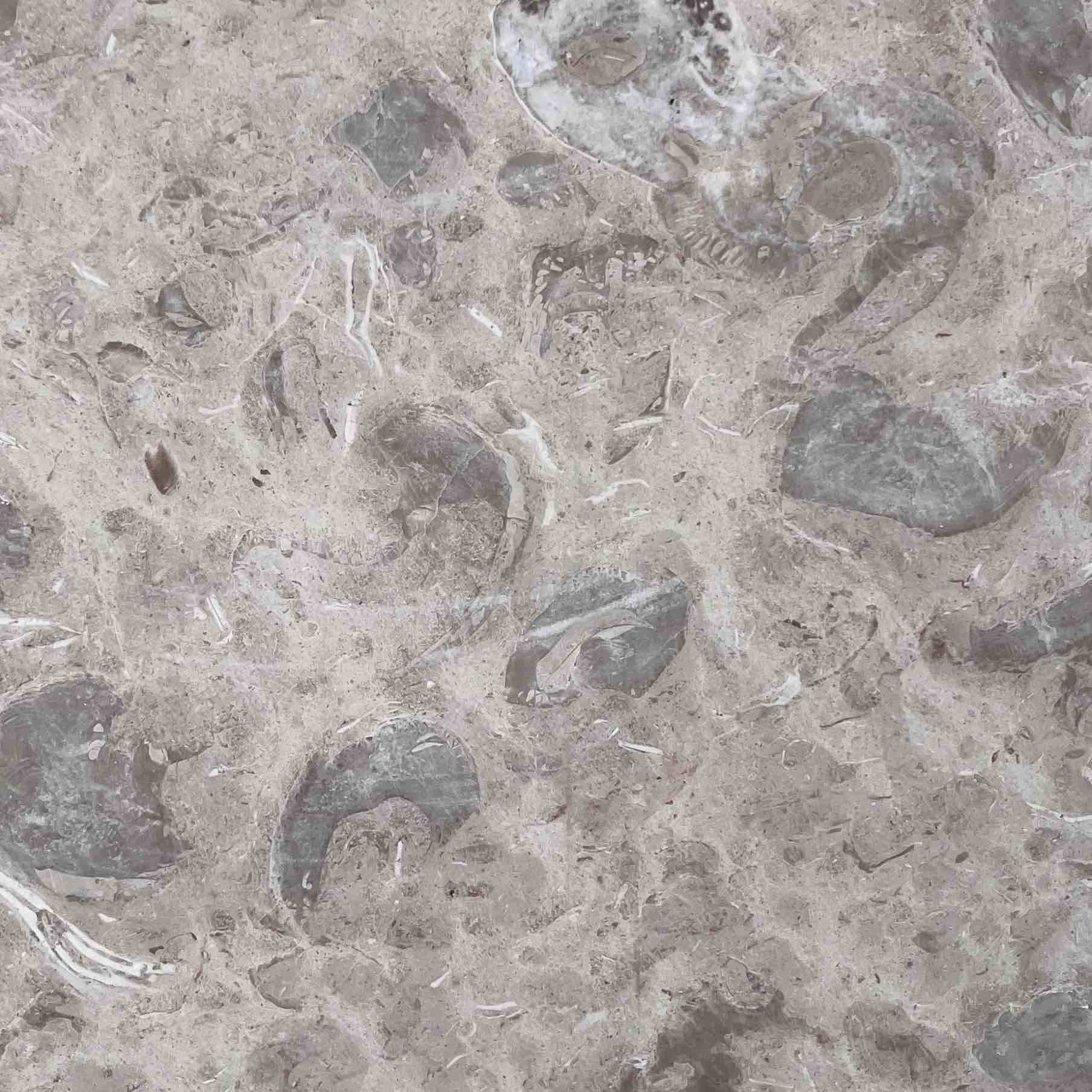 مرمریت پرطاووسی