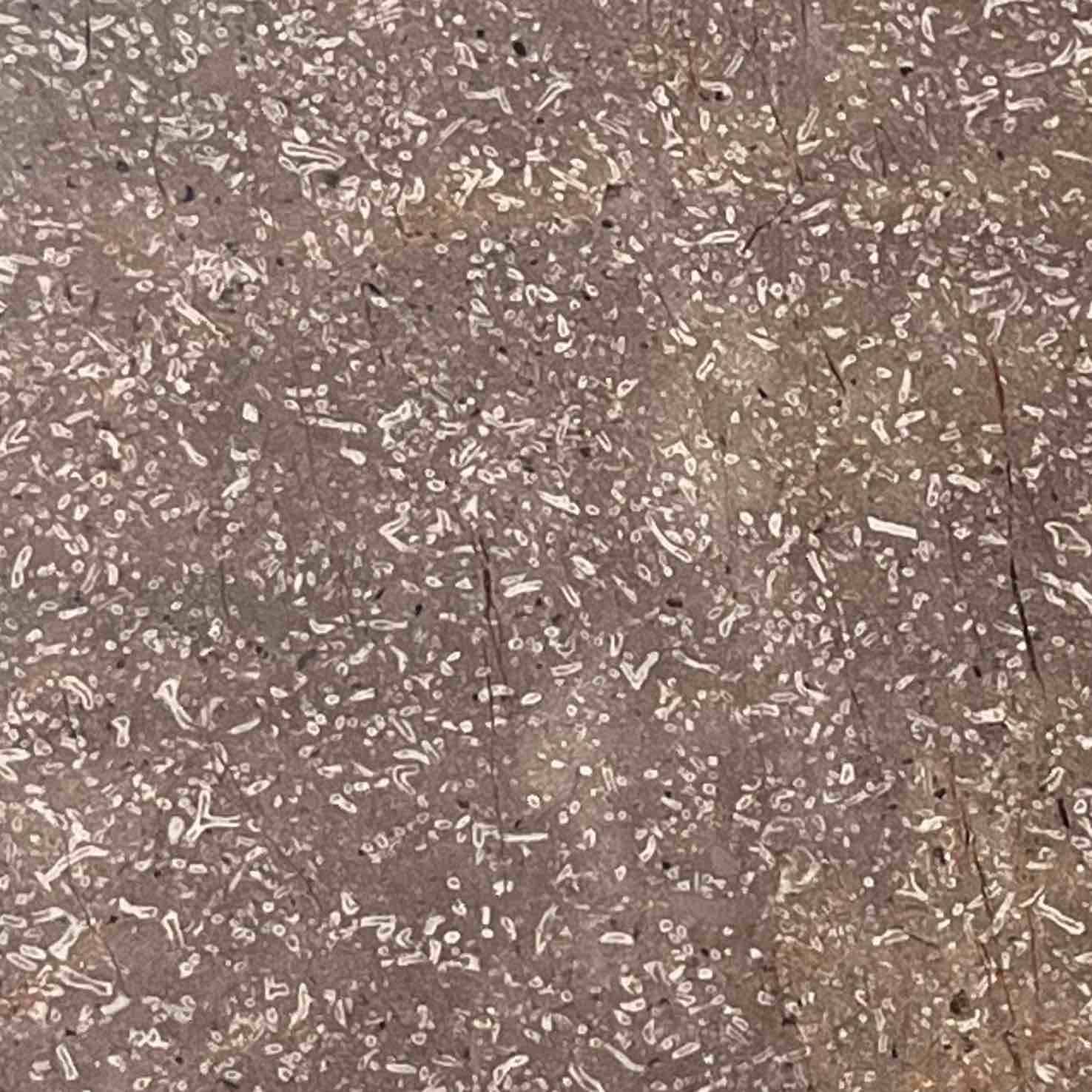 مرمریت مهکام مسی