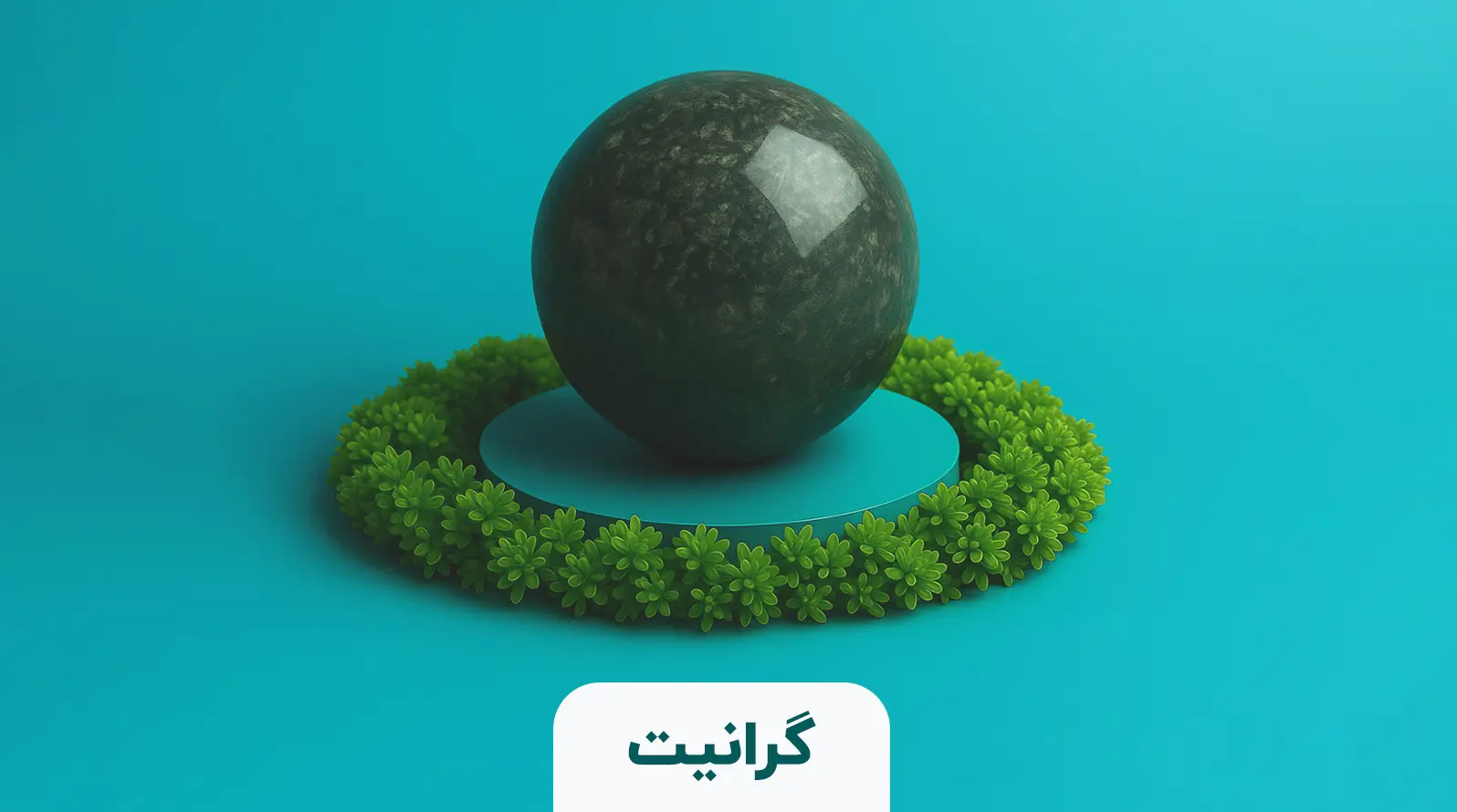 تصویر سوم