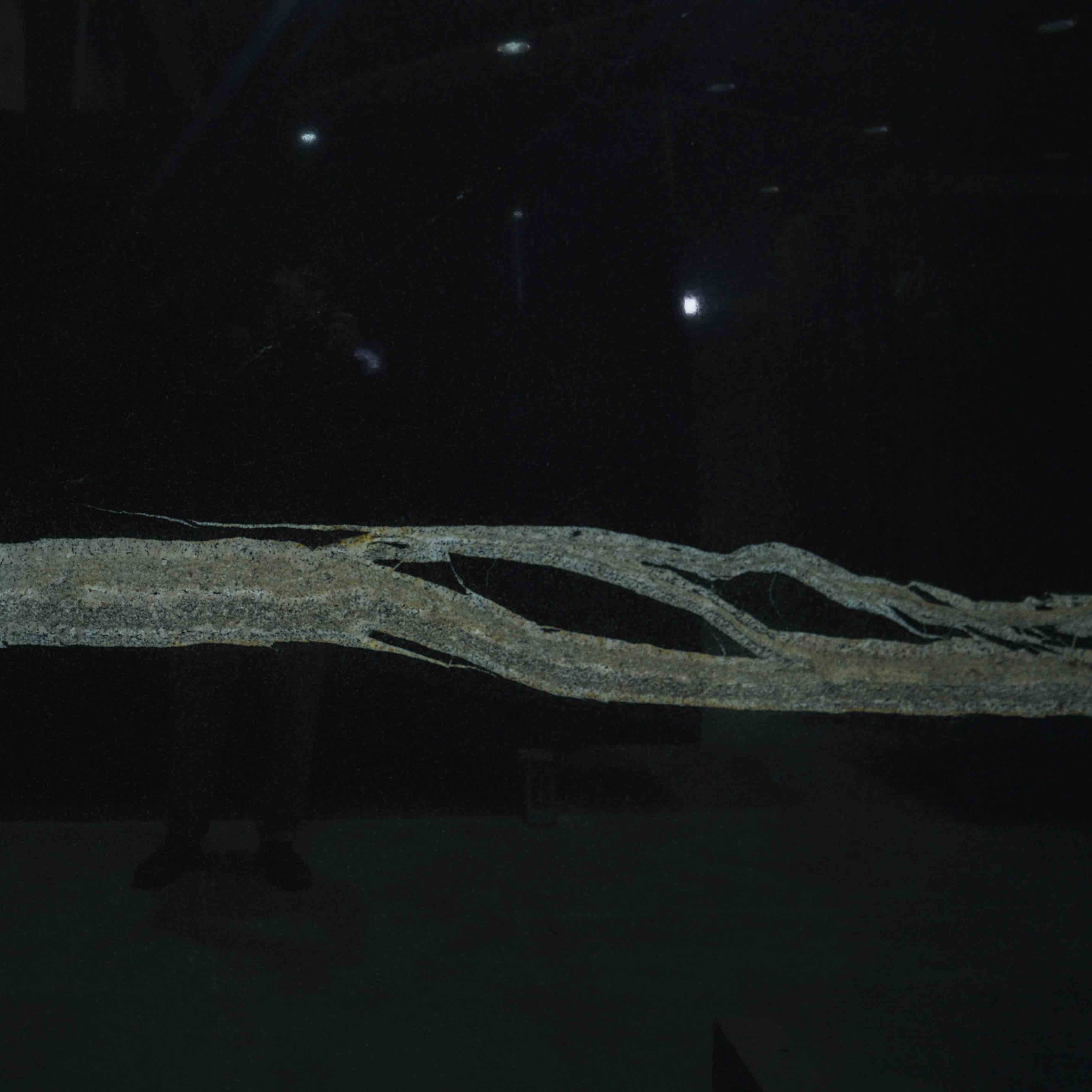 گرانیت بلک زبرا پولیش