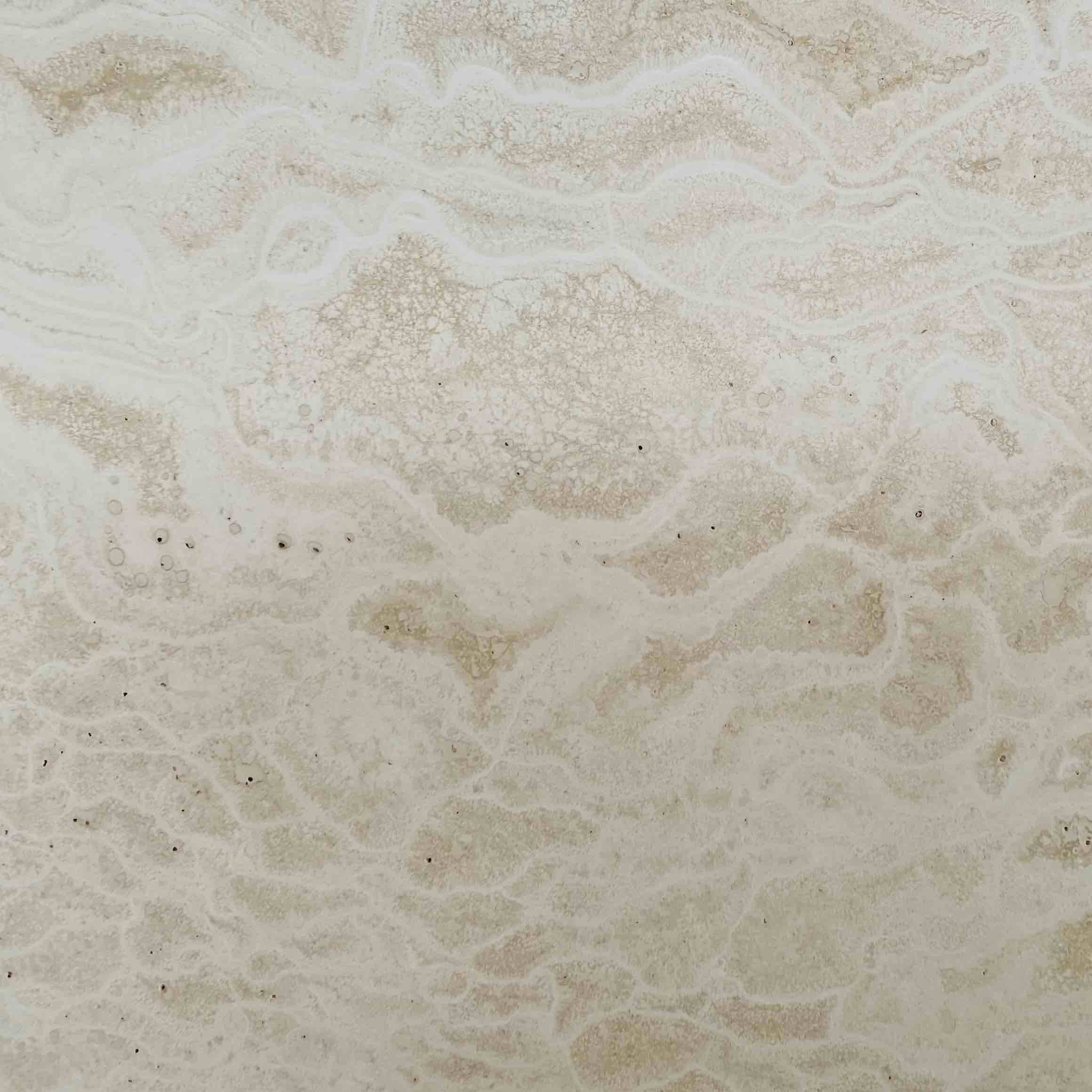 تراوارتن شمش عباس آباد 