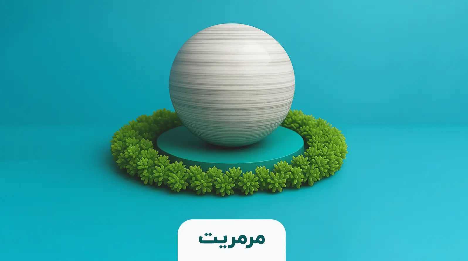 تصویر چهارم
